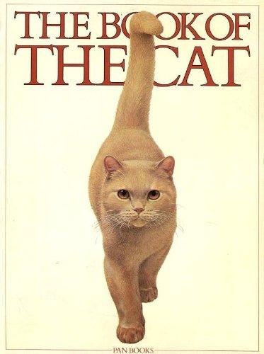 Erstes Katzenbuch
