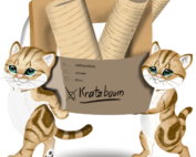 Katzen helfen beim Umzug und tragen einen Karton mit dem Kratzbaum