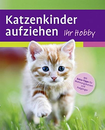 Buch Katzenkinder